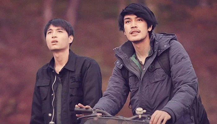 Настоящее совершенное (2017)